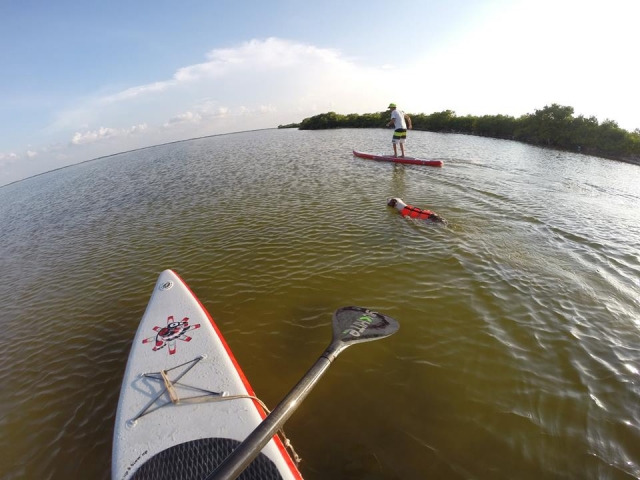  Paddle-Surf 